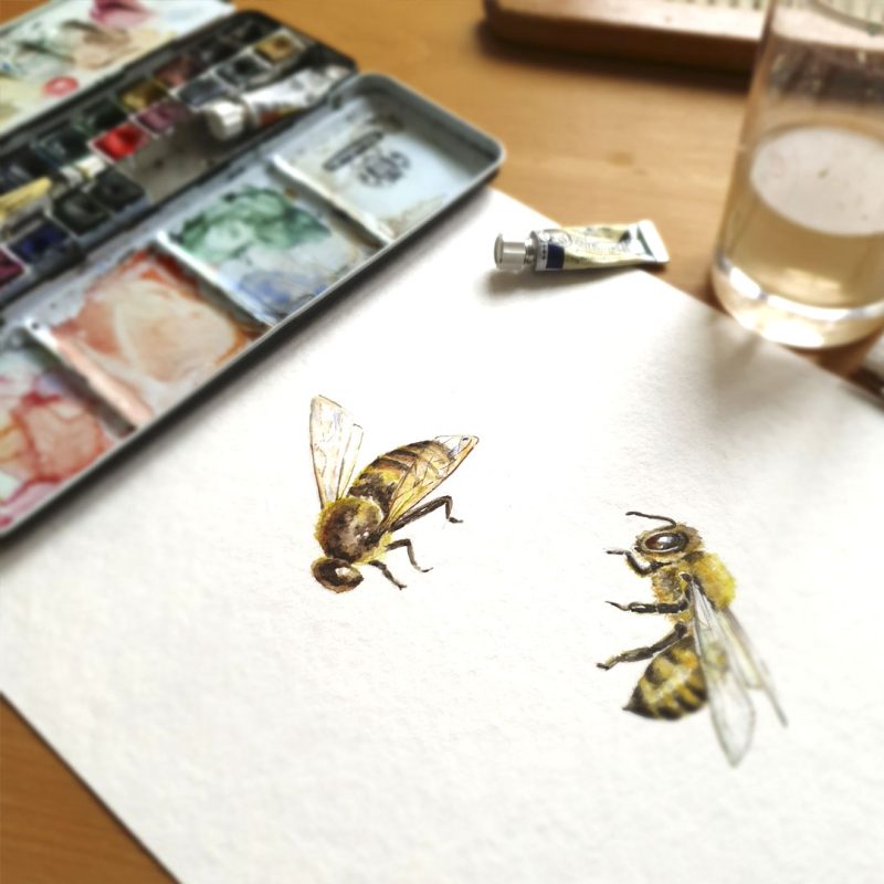 abejas-pintando-marina-mila-1080x1080