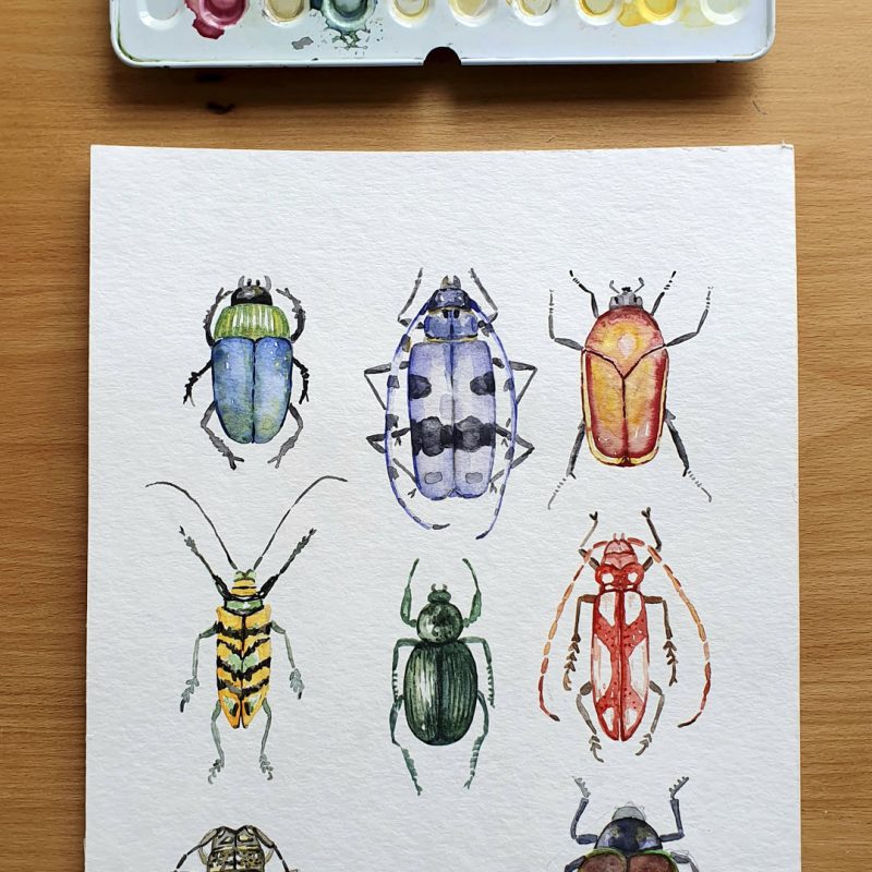 escarabajos-acuarela-pintando-1080x1920