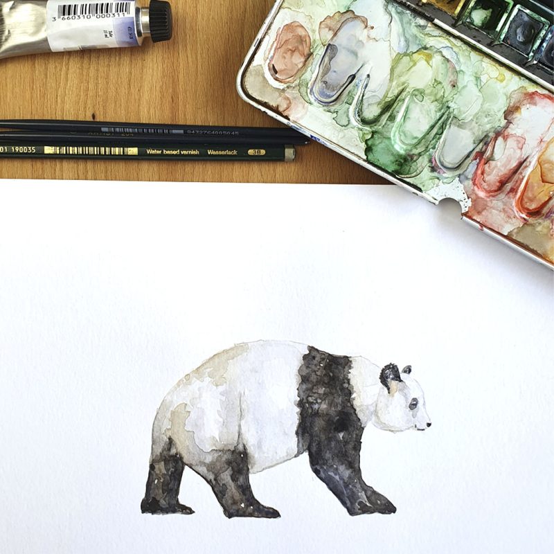 panda-acuarela-pintando-marinamila-1080x1080