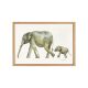animal-selva-elefantes-gris-marina-mila-laminas-1080px-web